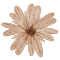 Fleur